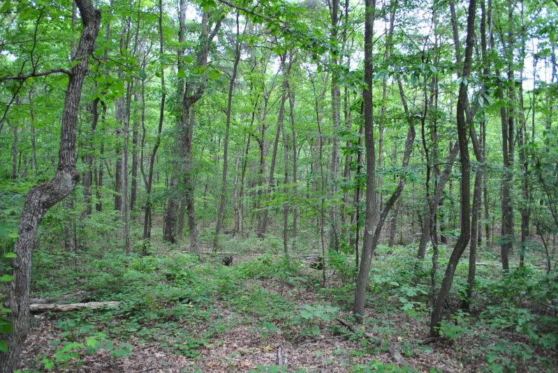 DSC_3235.jpg