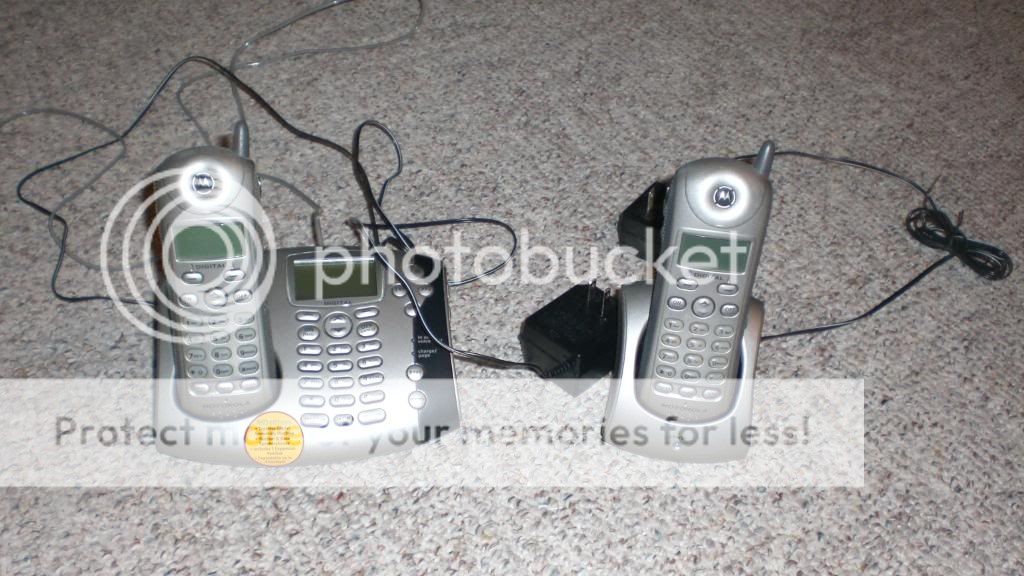 CIMG2222.jpg
