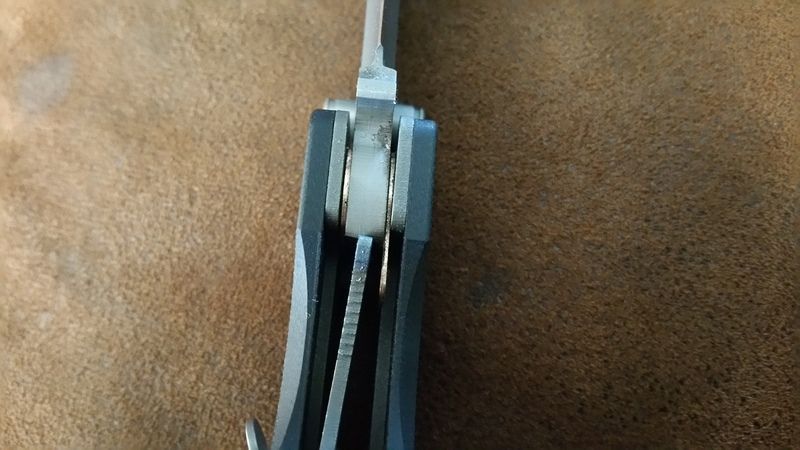 20160717_100237_zpsaqo7qir8.jpg