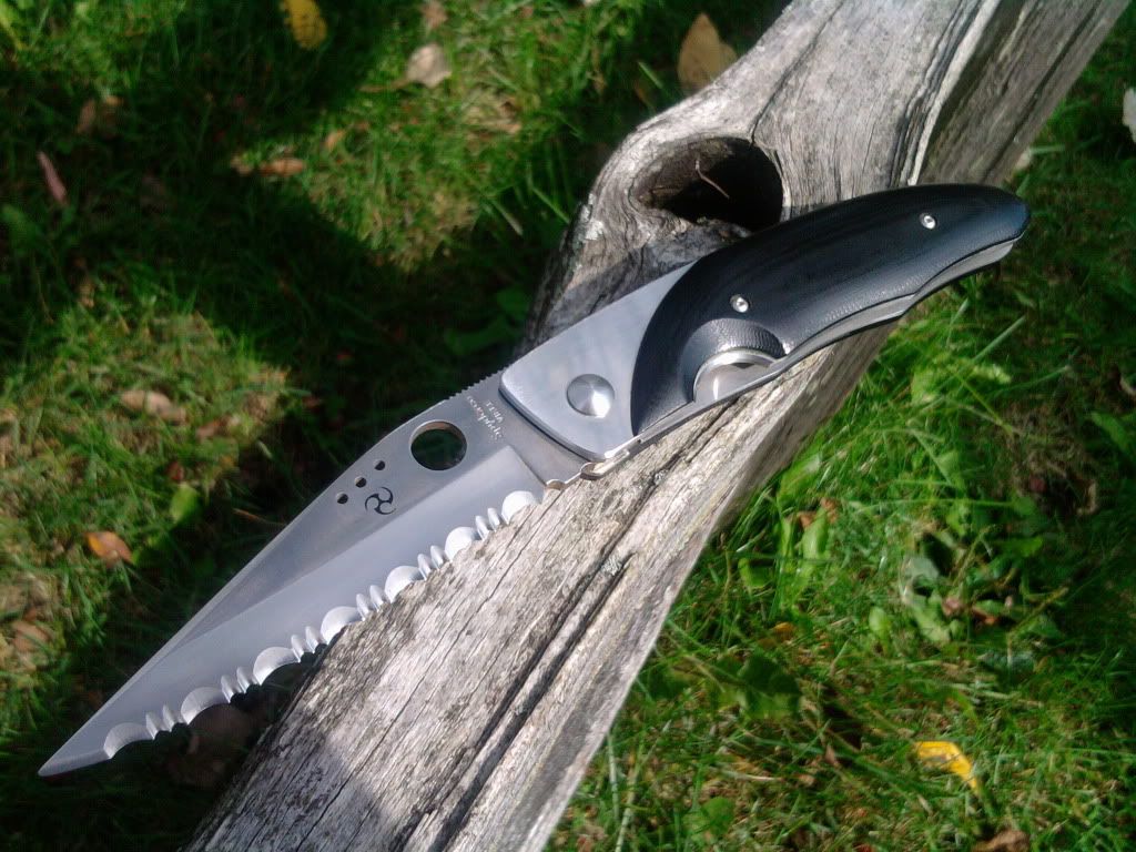 2010-09-23133146.jpg