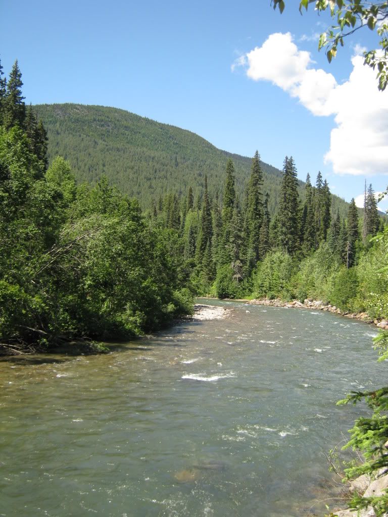 07-08-2010075.jpg