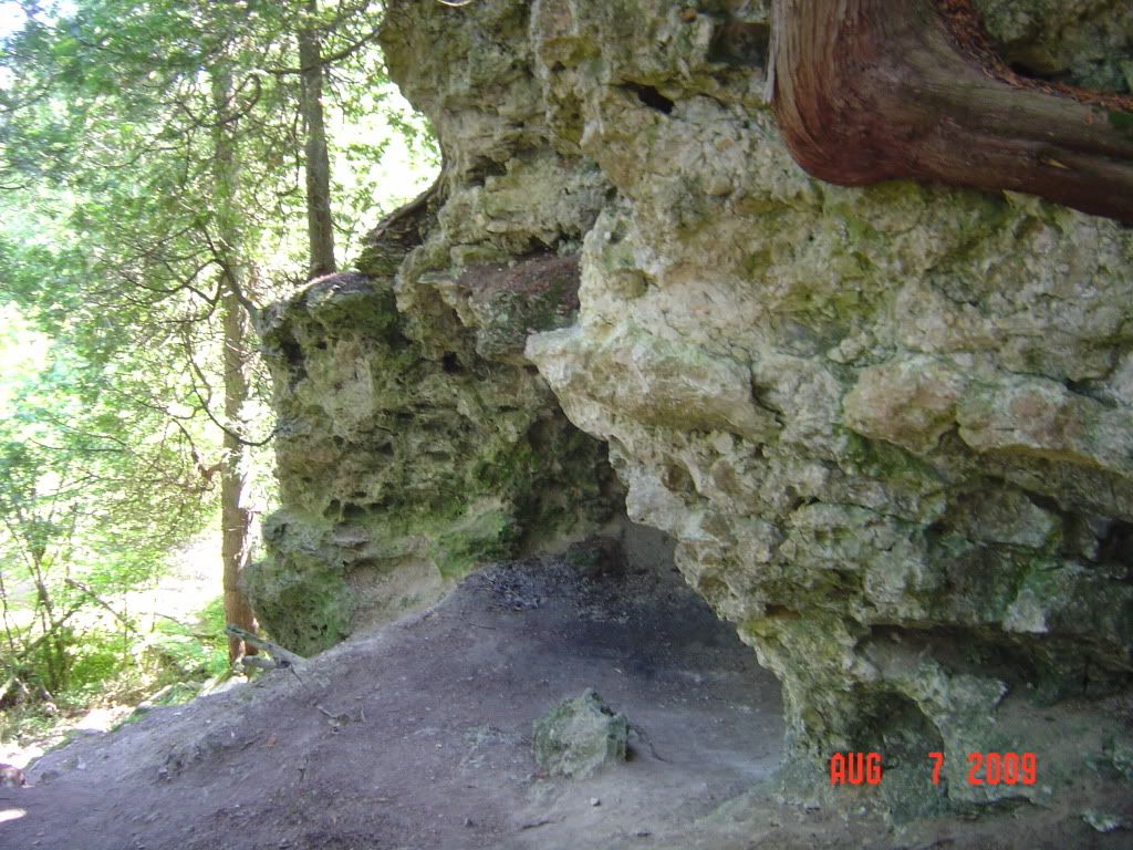 DSC01387.jpg