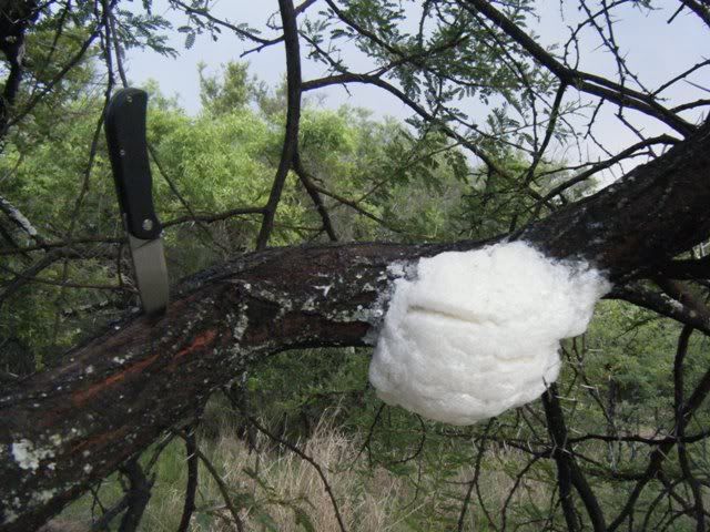 DSCF2081.jpg