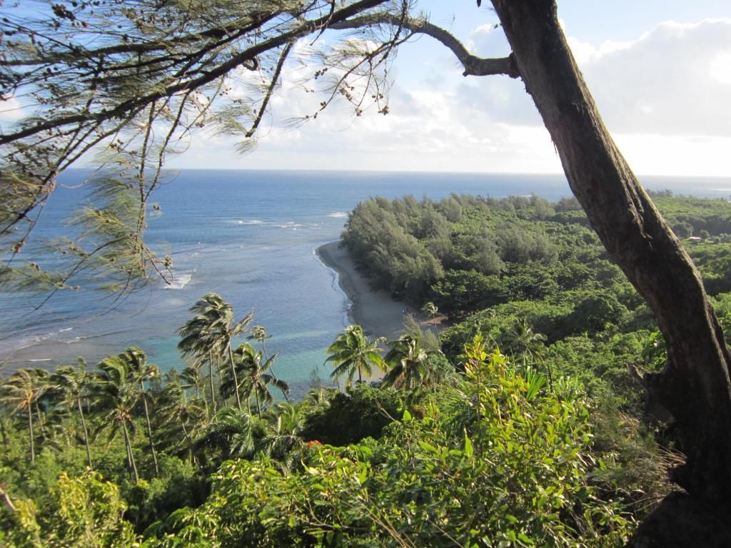 Kauai13016_zps26605512.jpg