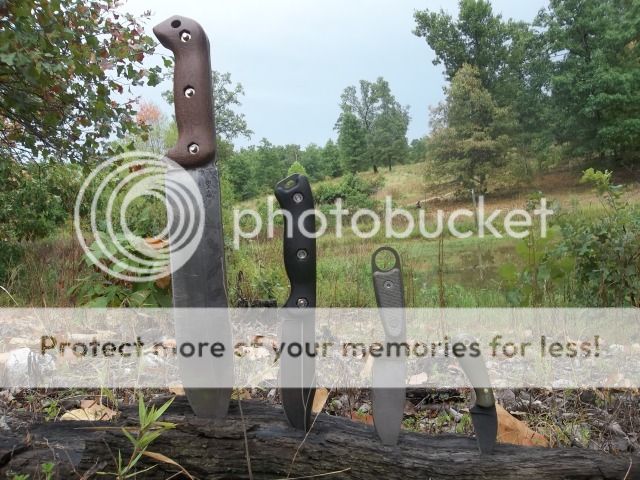 100_3375.jpg