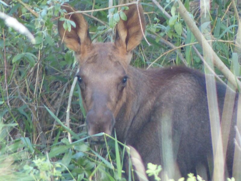 null_zpsa9b1dbdc.jpg