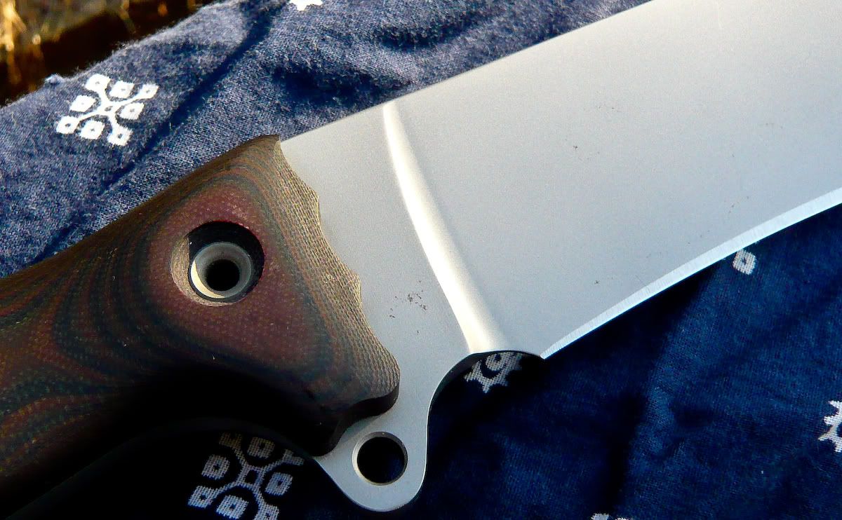 Busse_FBMBowieProto3.jpg