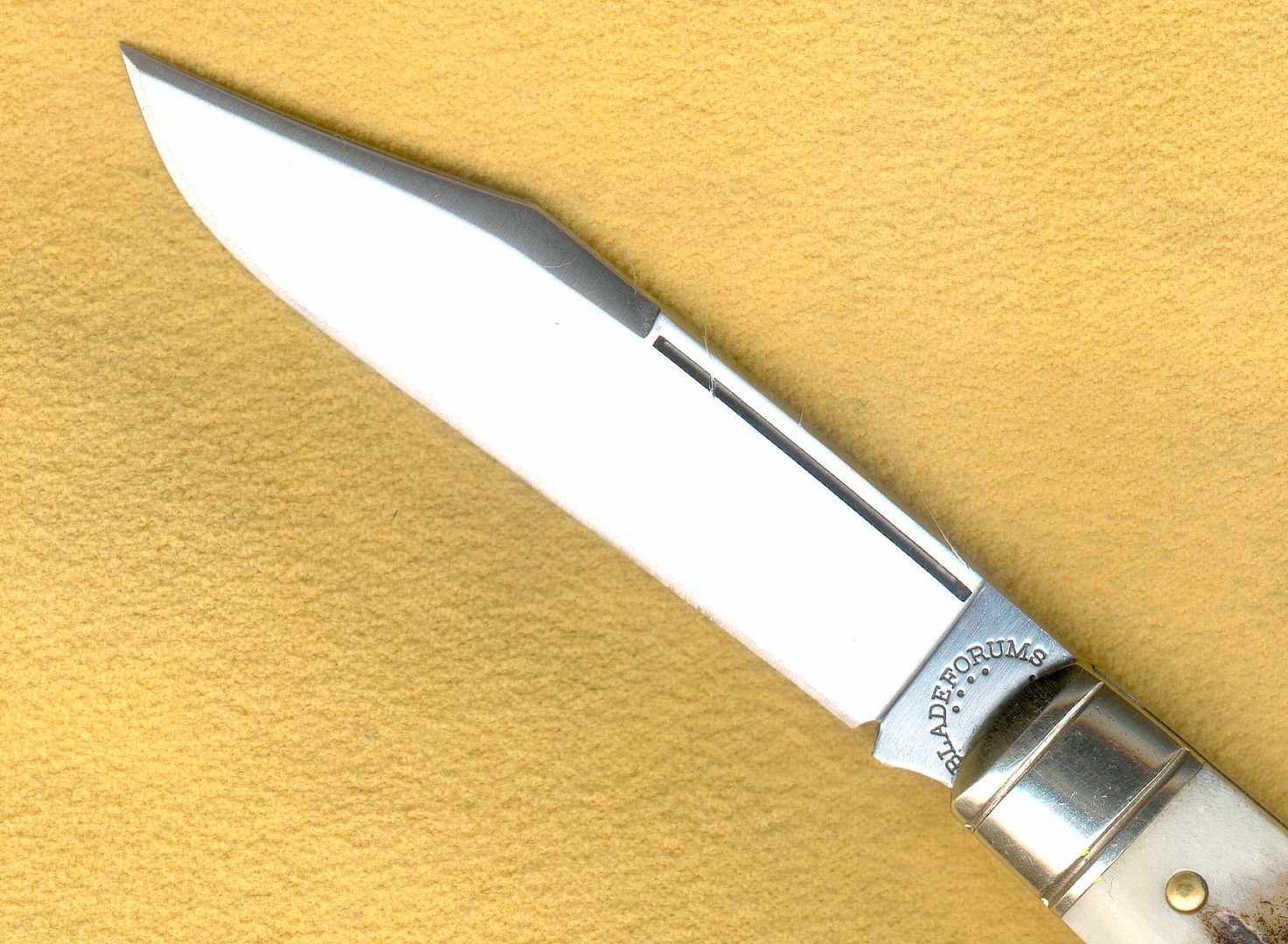 BFuser2_zps357d8198.jpg