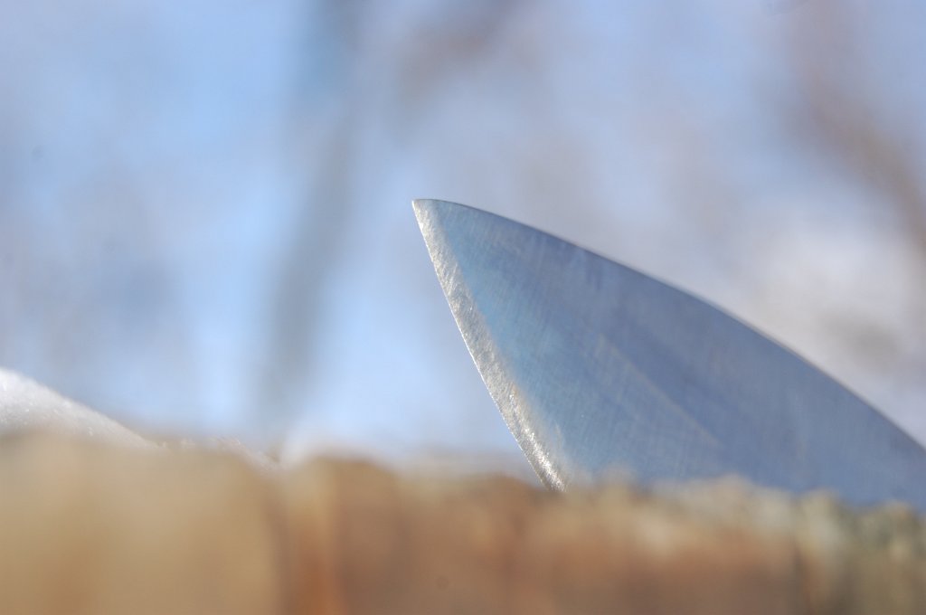 DSC_4304.JPG