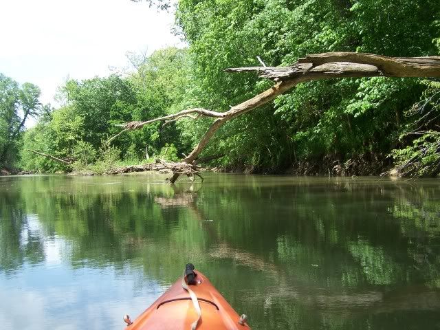 100_3784.jpg