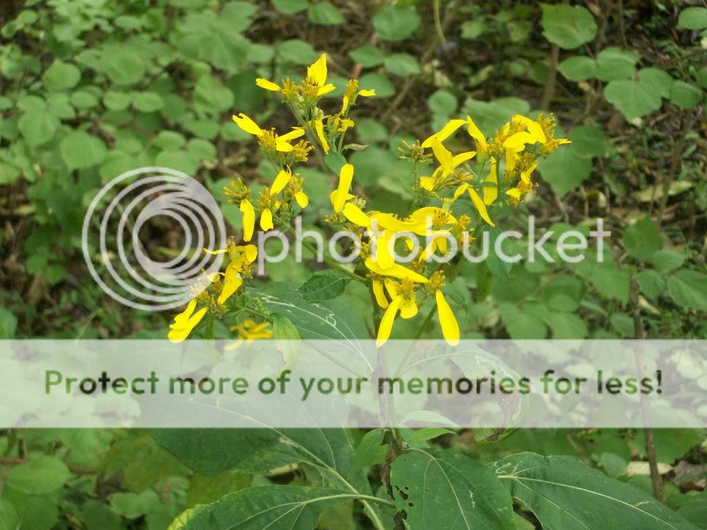 100_5067.jpg