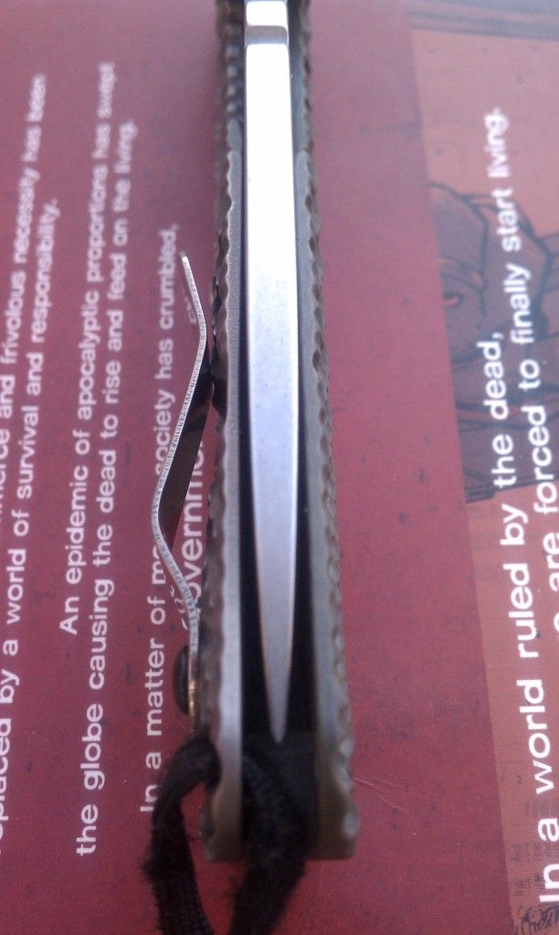 IMAG0775.jpg