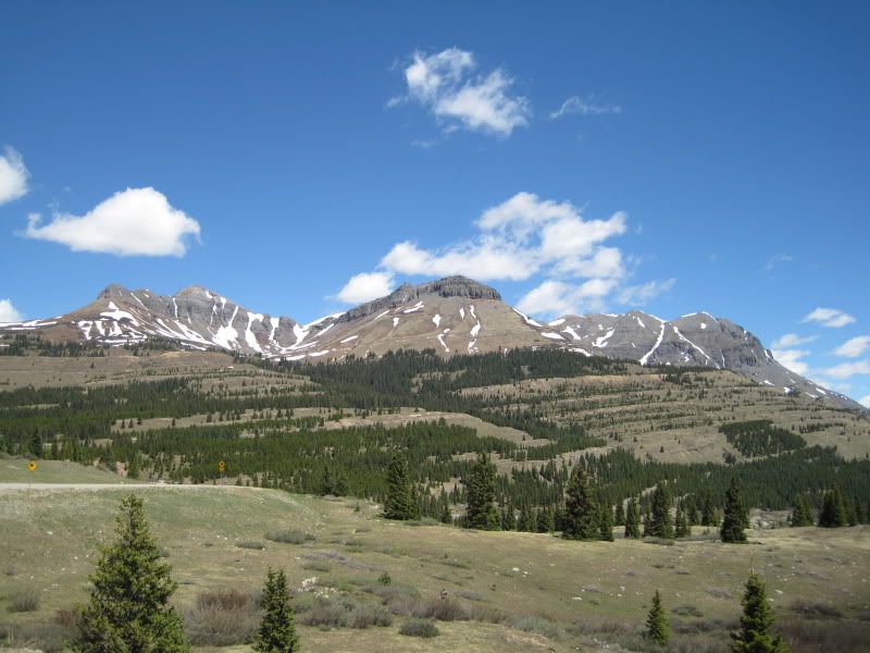 IMG_0040.jpg