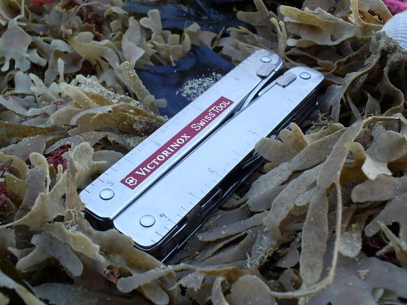 knifepics072.jpg