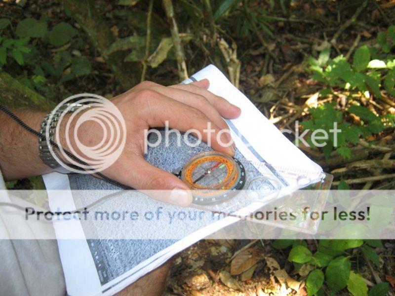IMG_0252_zpsa06ab650.jpg
