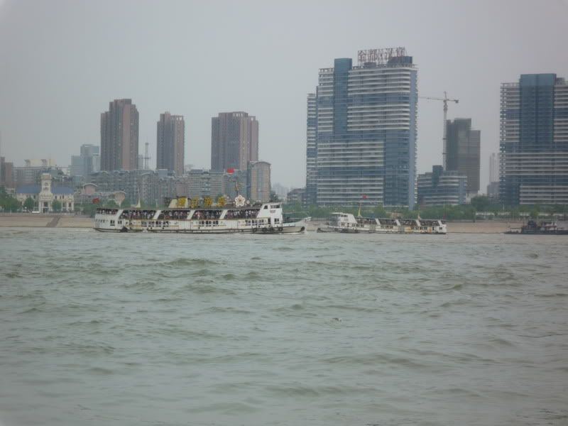 P1060554.jpg