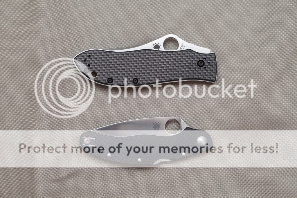 IMG_4345_Spydercos.jpg