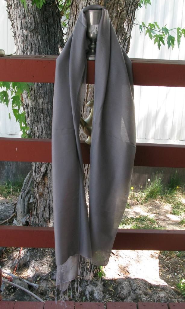 5-16-12009.jpg