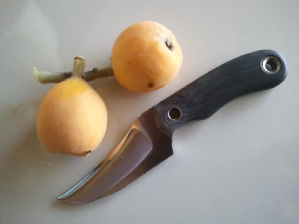 2011-05-29145142.jpg