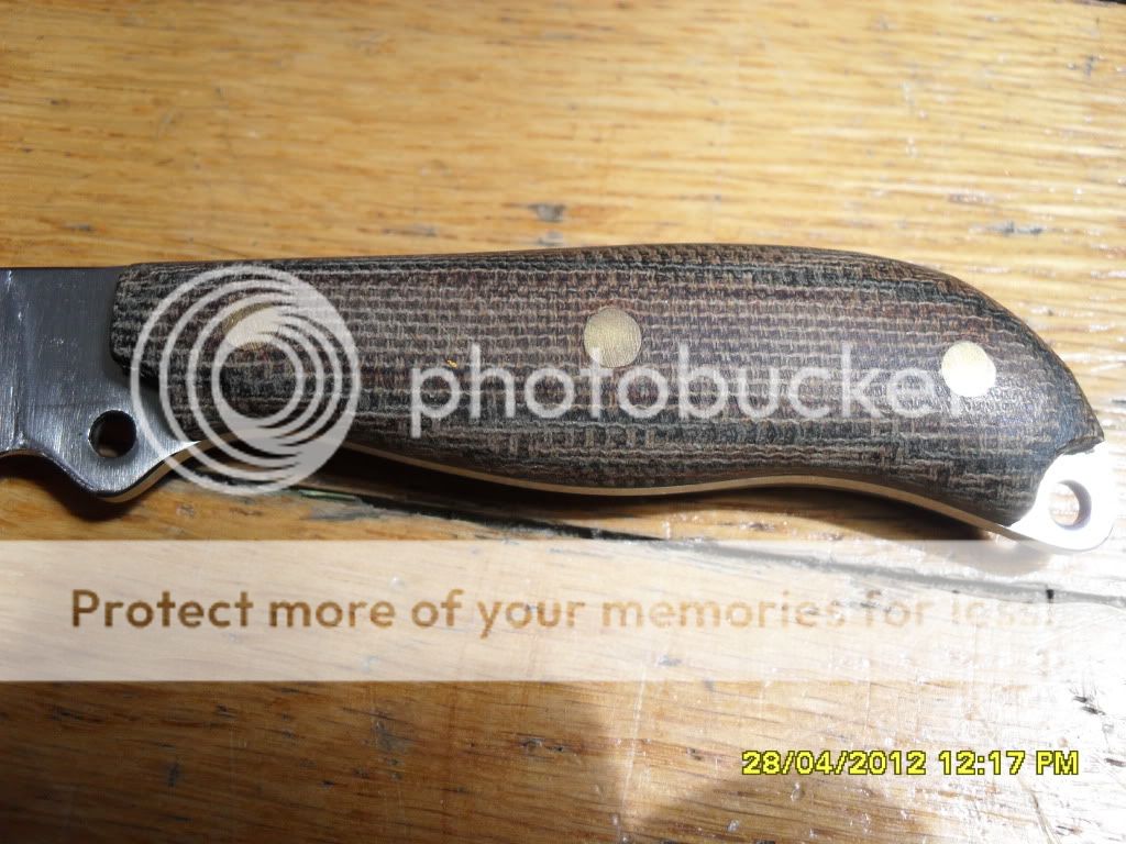 SDC14638.jpg