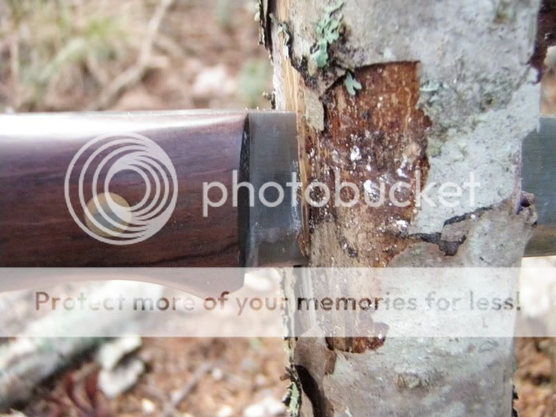 PB300961.jpg