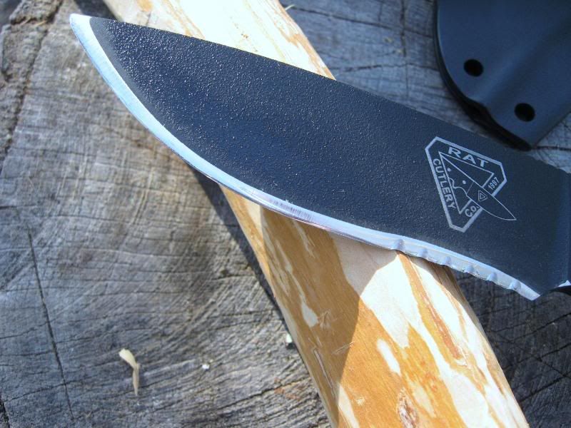 RC-4andF1004.jpg