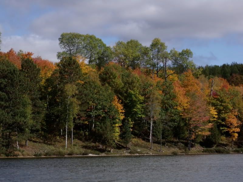 FallPetun007.jpg