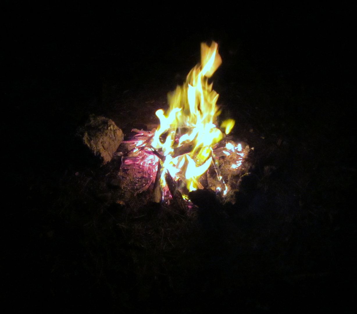 IMG_1095.jpg