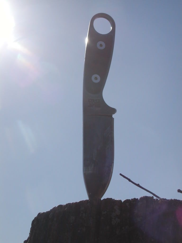 14Sun.jpg