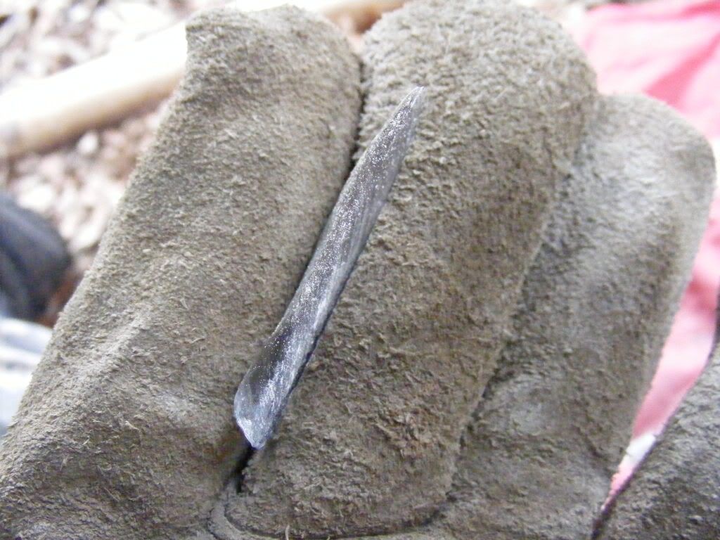hoghuntfed2009022.jpg