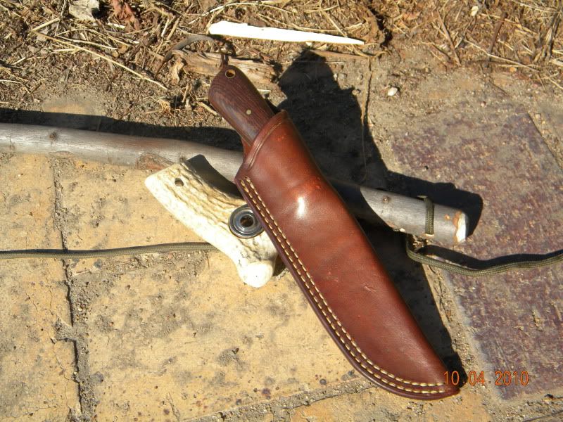 DSCN2895.jpg