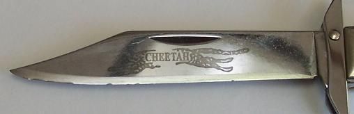 cheetahdamage2_zpsdmompyp8.jpg