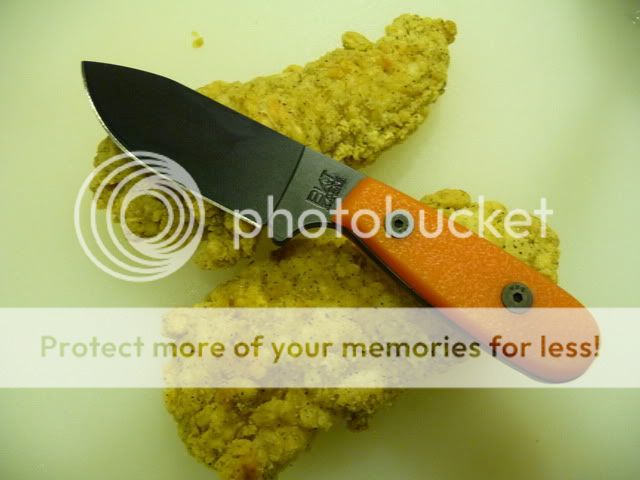 MakingaSalad6.jpg
