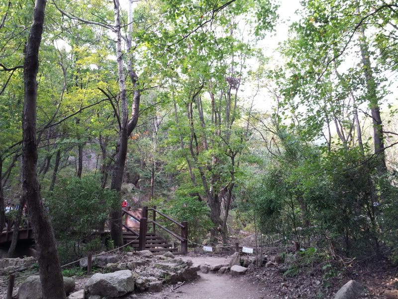 20121006_151428.jpg