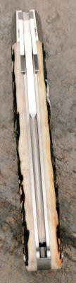 rbose-400stagcattsguard1-5.jpg