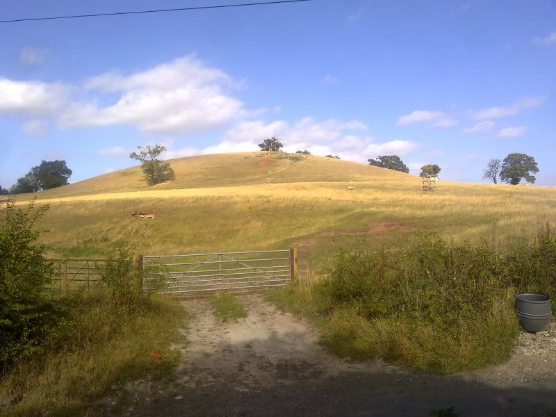 12092011150.jpg