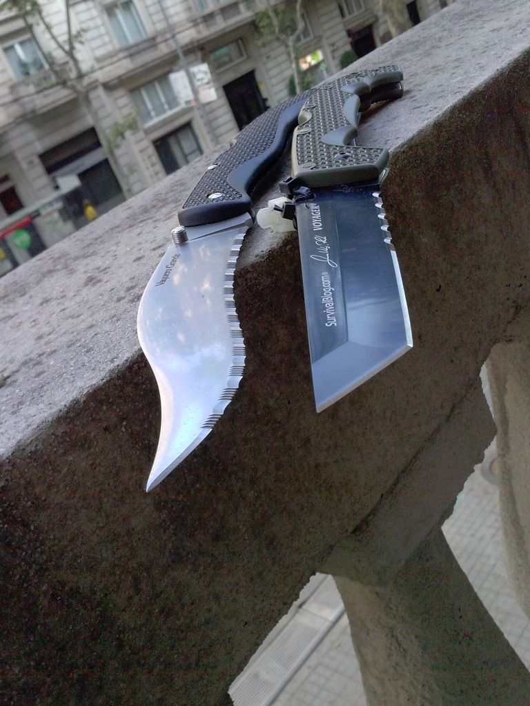 CAM01456_zpspo8iappj.jpg