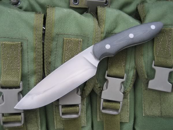 psd5-1.jpg