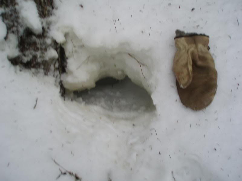 begbiewalk042.jpg