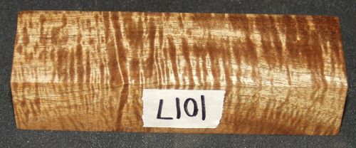 1017a.jpg