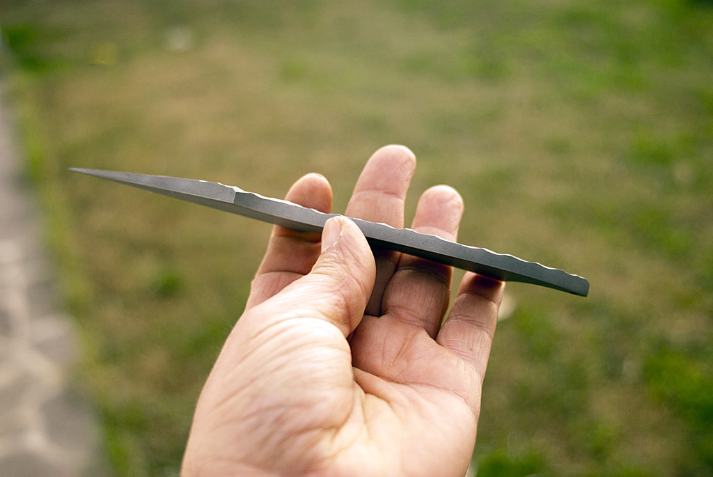 10-1024x685.jpg