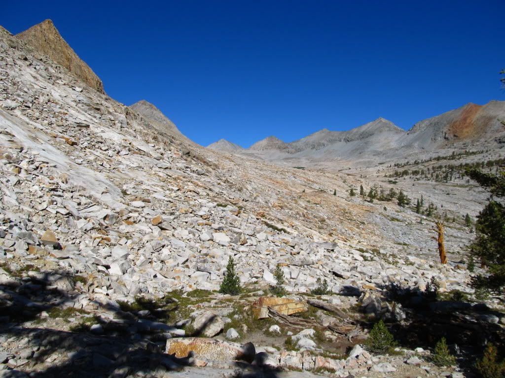 IMG_2655.jpg