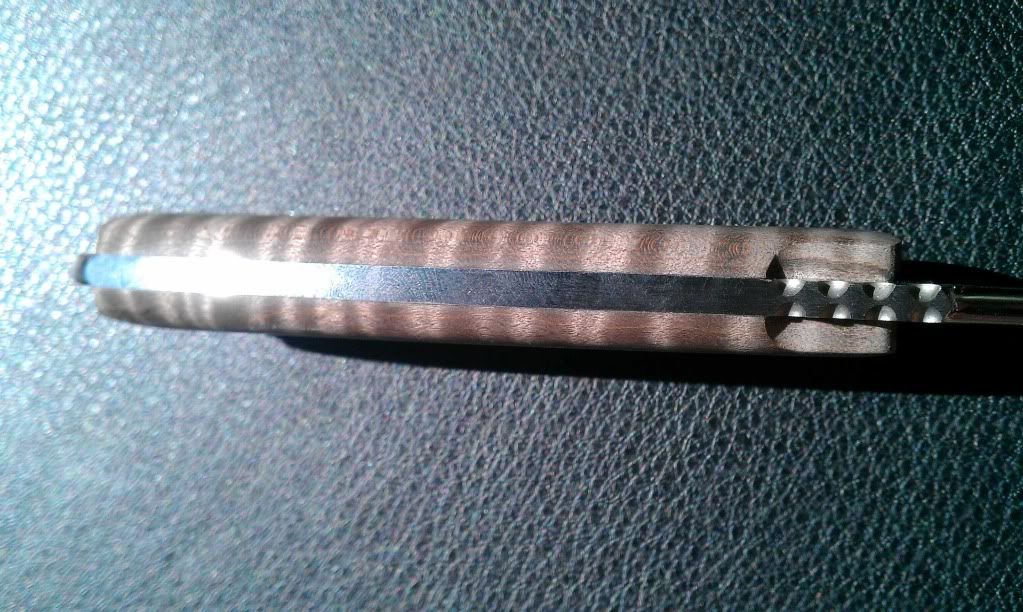 IMAG0192a.jpg