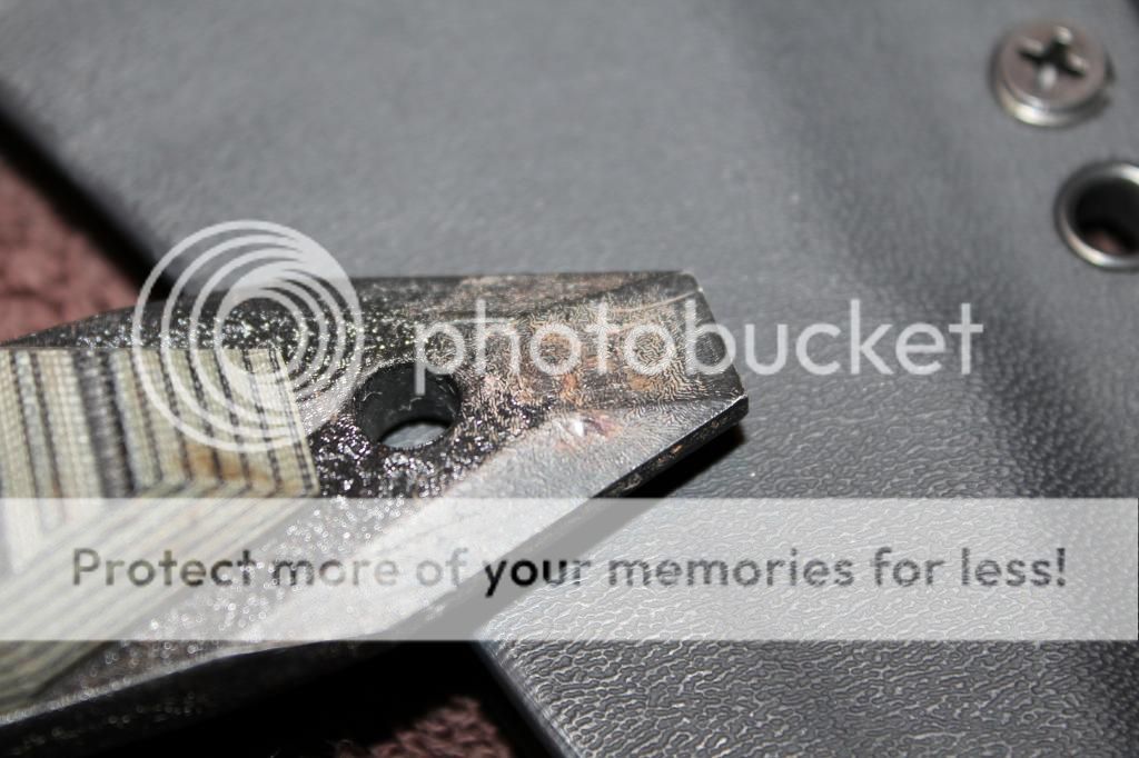 IMG_0962_zps09dc8a72.jpg