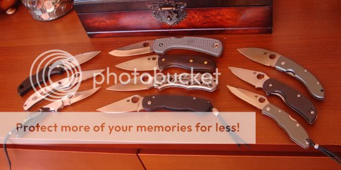 MySpydies1.jpg