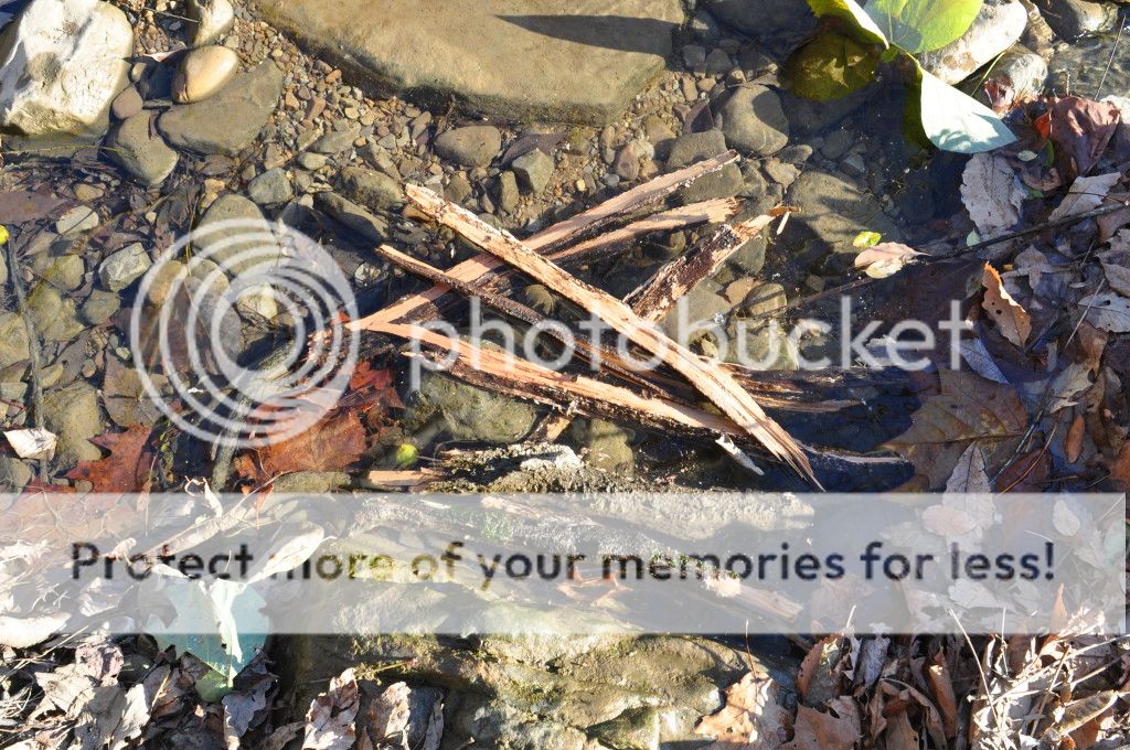 DSC_0161.jpg