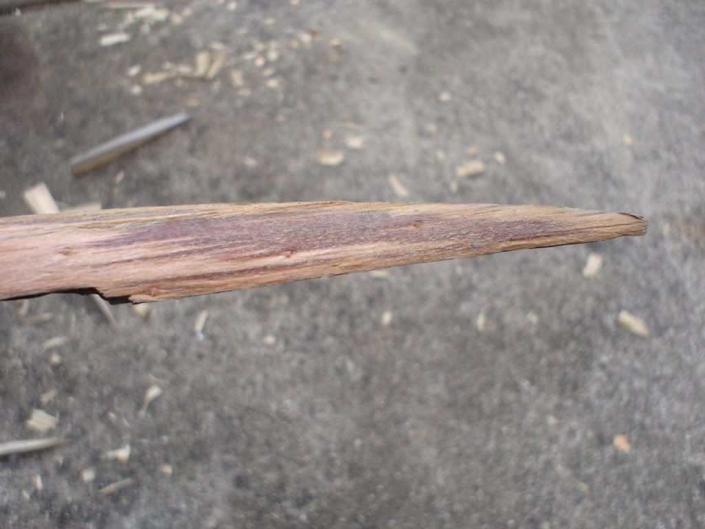 DSC01627.jpg