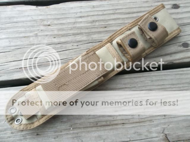 100_2770.jpg