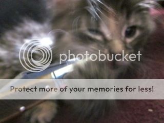 IMG_9882.jpg~original