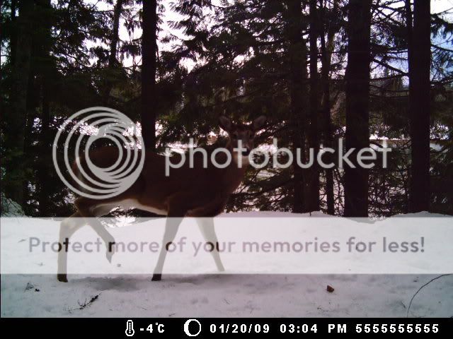 MDGC0006.jpg